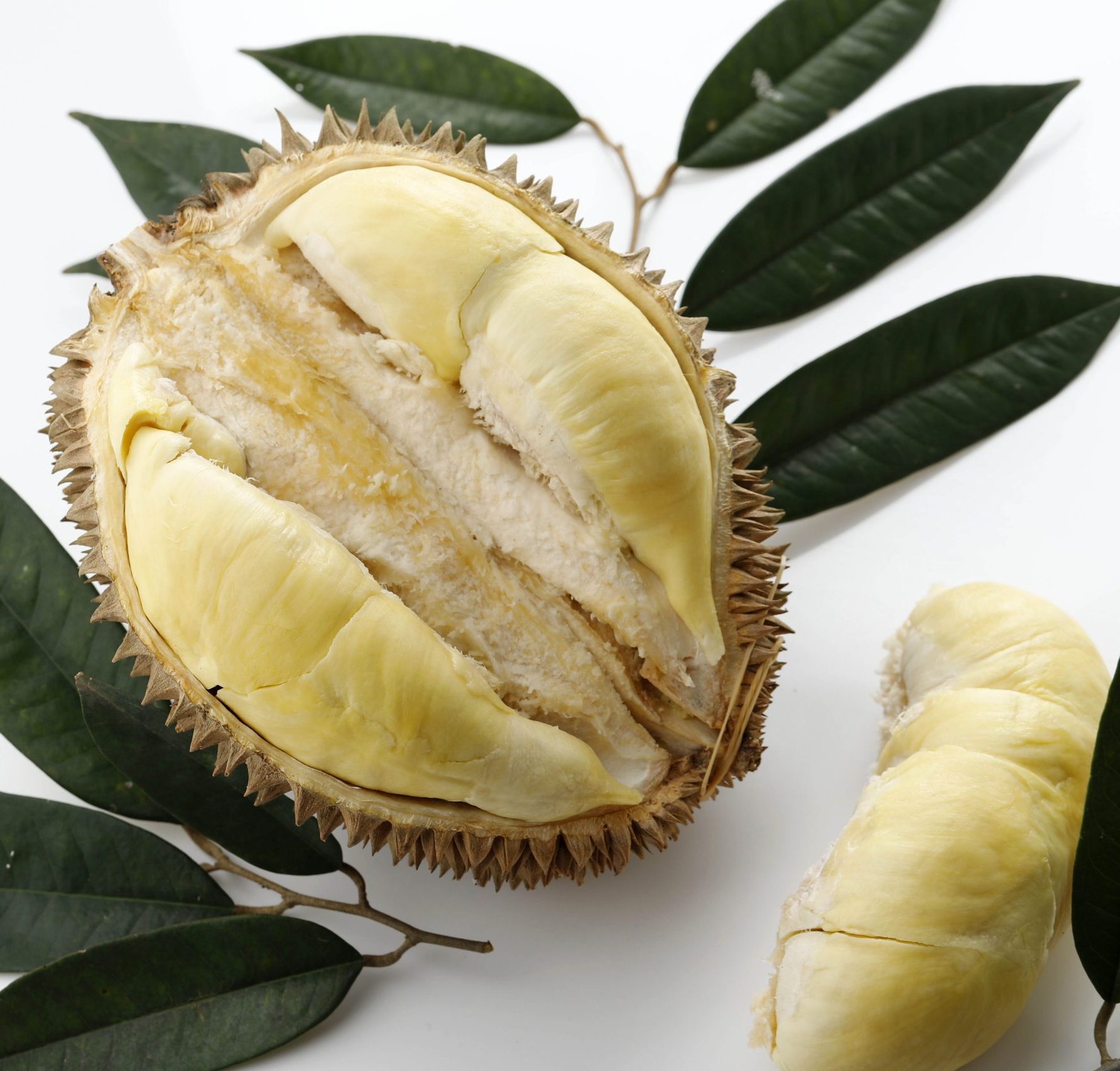 Indonesian%20Premium%20Spices